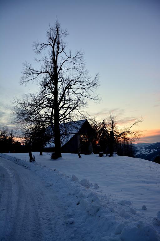 Apartments Gatej Cerkno Buitenkant foto