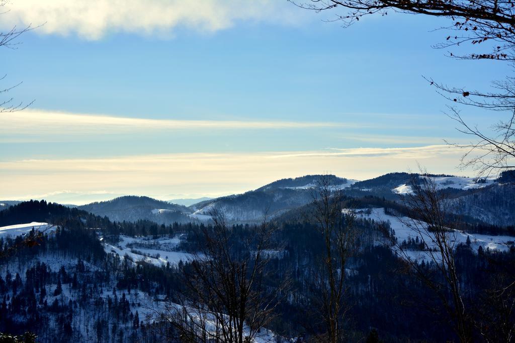 Apartments Gatej Cerkno Buitenkant foto